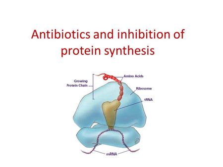 Antibiotics and inhibition of protein synthesis. Protein synthesis can be divided into a- Steps taking place prior to translation b- Steps in the translation.