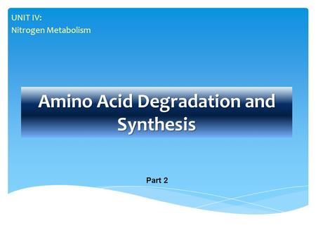 Amino Acid Degradation and Synthesis