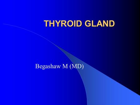 THYROID GLAND Begashaw M (MD). Anatomy Anatomy.