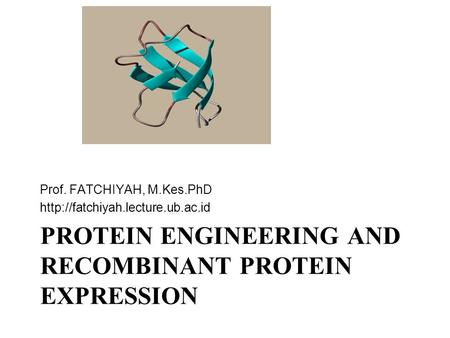 Protein engineering and recombinant protein expression