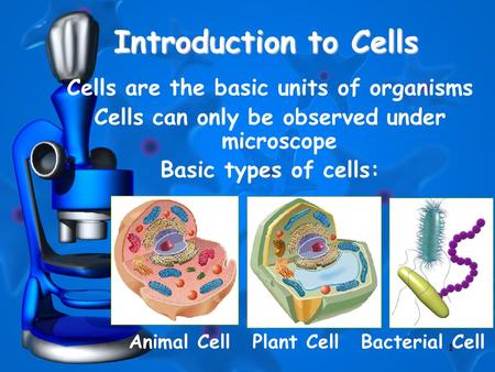 1 Introduction to Cells Cells are the basic units of organisms Cells can only be observed under microscope Basic types of cells: Animal CellPlant Cell.