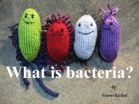 What is bacteria? By Younes Rashad.  Bacteria is a single-celled organism which can only be seen through microscope.  Bacteria comes in different shapes.