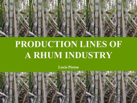 PRODUCTION LINES OF A RHUM INDUSTRY Lucie Pieton.