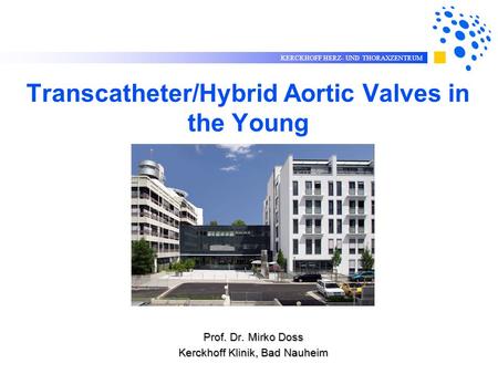 Transcatheter/Hybrid Aortic Valves in the Young