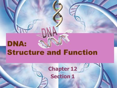 DNA: Structure and Function Chapter 12 Section 1.
