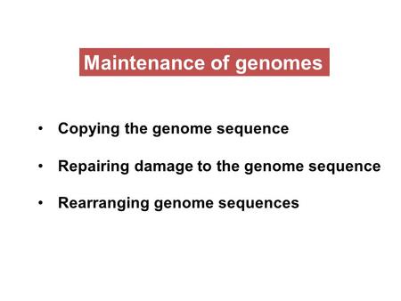 Maintenance of genomes Copying the genome sequence Repairing damage to the genome sequence Rearranging genome sequences.