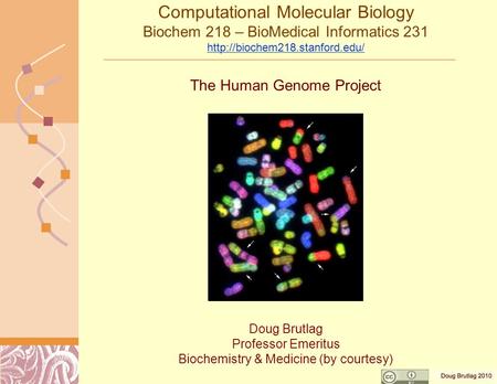 Computational Molecular Biology Biochem 218 – BioMedical Informatics 231   Doug Brutlag Professor.