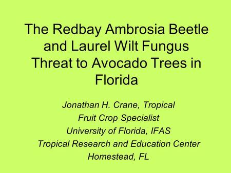 The Redbay Ambrosia Beetle and Laurel Wilt Fungus Threat to Avocado Trees in Florida Jonathan H. Crane, Tropical Fruit Crop Specialist University of Florida,