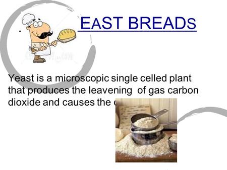 Y E A ST BREAD S Yeast is a microscopic single celled plant that produces the leavening of gas carbon dioxide and causes the dough rise.