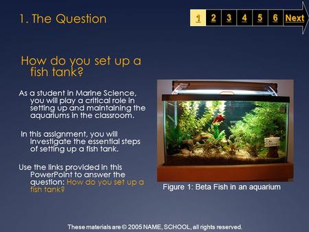 1. The Question 1111 2222 3333 6666 5555 4444 Next These materials are © 2005 NAME, SCHOOL, all rights reserved. How do you set up a fish tank? As a student.