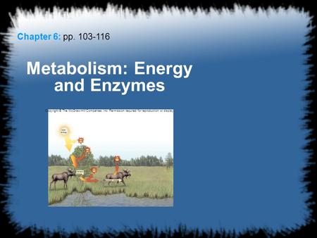 1 Chapter 6: pp. 103-116 Metabolism: Energy and Enzymes Copyright © The McGraw-Hill Companies, Inc. Permission required for reproduction or display. solar.