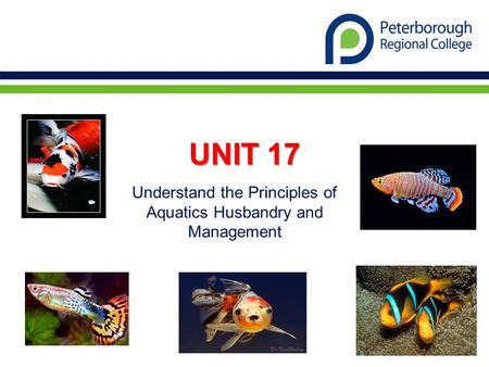 UNIT 17 Understand the Principles of Aquatics Husbandry and Management.