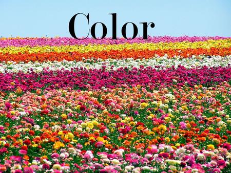 Color.  The visual response of the eye to reflected rays of light  Element of floral design  3 dimensions of color  Hue  Value  Chroma.