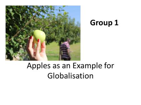 Group 1 Apples as an Example for Globalisation. Where do the apples come from? No difference between supermarkets and the weekly market No difference.