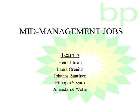 MID-MANAGEMENT JOBS Team 5 Heidi Idman Laura Orenius Johanna Saarinen Ethiopia Segaro Amanda de Wolfe.