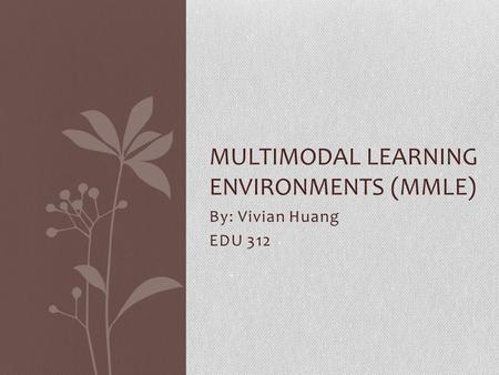 By: Vivian Huang EDU 312 MULTIMODAL LEARNING ENVIRONMENTS (MMLE)