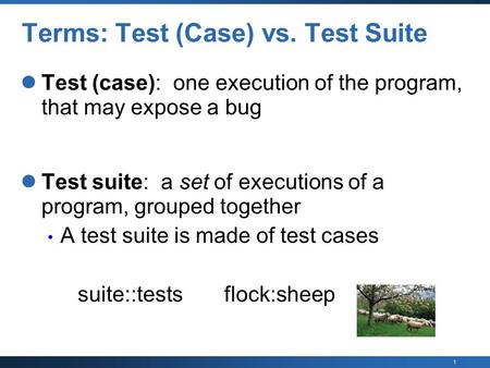Terms: Test (Case) vs. Test Suite