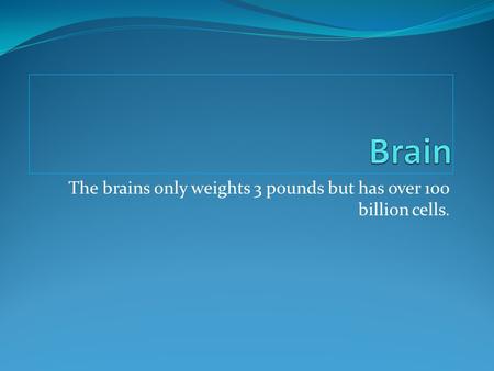 The brains only weights 3 pounds but has over 100 billion cells.