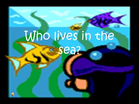 Who lives in the sea?.