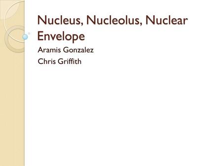 Nucleus, Nucleolus, Nuclear Envelope Aramis Gonzalez Chris Griffith.