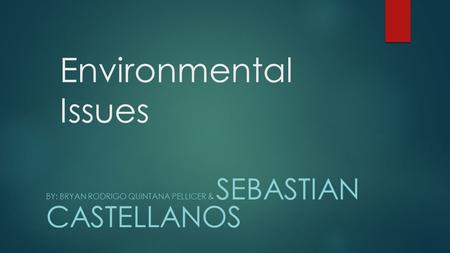 Environmental Issues BY: BRYAN RODRIGO QUINTANA PELLICER & SEBASTIAN CASTELLANOS.