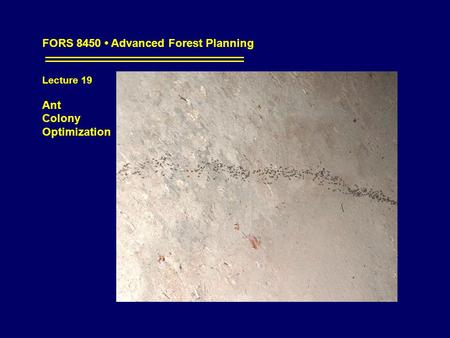 FORS 8450 Advanced Forest Planning Lecture 19 Ant Colony Optimization.