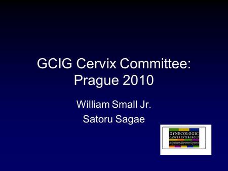 GCIG Cervix Committee: Prague 2010 William Small Jr. Satoru Sagae.