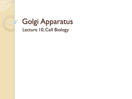 Golgi Apparatus Lecture 10, Cell Biology. Discovery of Golgi body  The Golgi apparatus is noticeable with both light and electron microscope. It is also.