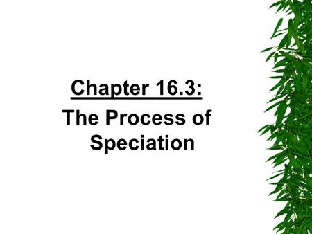 The Process of Speciation