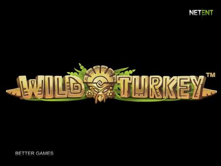 Introduction “While creating Wild Turkey game we wanted to bring the players into South America atmosphere and allow them to oversee wild life of turkey’s.