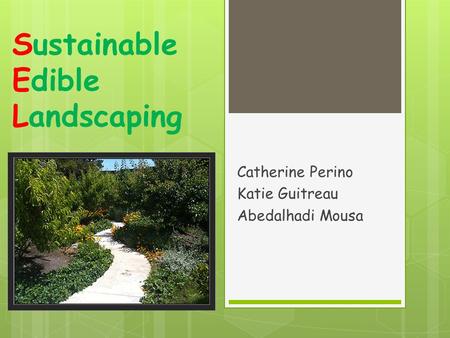 Sustainable Edible Landscaping Catherine Perino Katie Guitreau Abedalhadi Mousa.