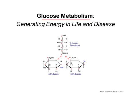Glucose Metabolism: Generating Energy in Life and Disease Hans Widlund - BWH © 2012.