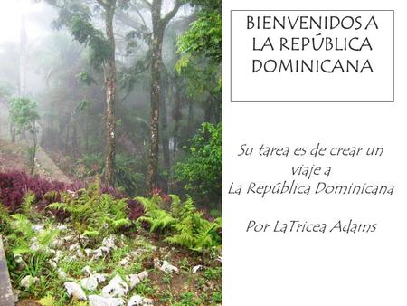 BIENVENIDOS A LA REPÚBLICA DOMINICANA Su tarea es de crear un viaje a La República Dominicana Por LaTricea Adams.