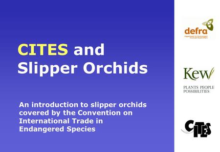 CITES and Slipper Orchids An introduction to slipper orchids covered by the Convention on International Trade in Endangered Species.
