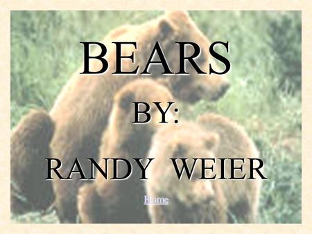 BEARS BY: RANDY WEIER Home.