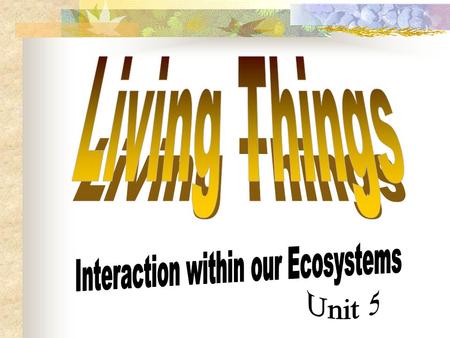 Interaction within our Ecosystems