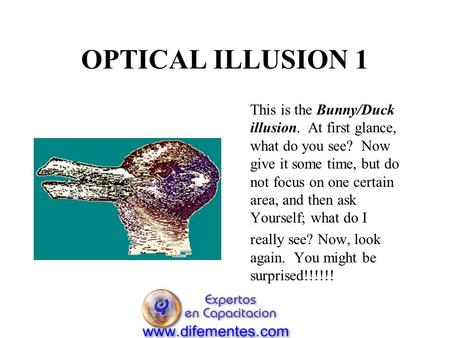 OPTICAL ILLUSION 1 This is the Bunny/Duck illusion. At first glance, what do you see? Now give it some time, but do not focus on one certain area, and.
