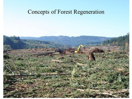 Concepts of Forest Regeneration