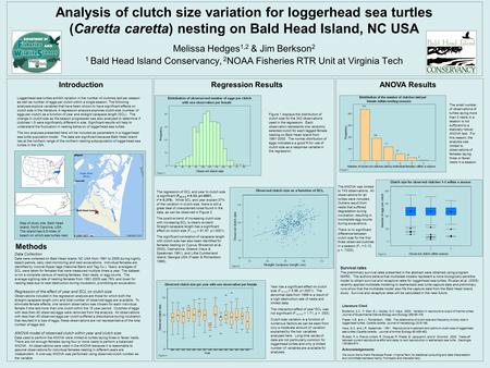 Analysis of clutch size variation for loggerhead sea turtles (Caretta caretta) nesting on Bald Head Island, NC USA Melissa Hedges 1,2 & Jim Berkson 2 1.