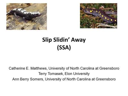 Slip Slidin’ Away (SSA) Catherine E. Matthews, University of North Carolina at Greensboro Terry Tomasek, Elon University Ann Berry Somers, University of.