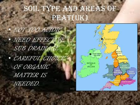 SOIL TYPE AND AREAS OF PEAT(UK) NOT TOO ACIDIC NEED EFFECTIVE SUB DRAINAGE CAREFUL CHOICE OF ORGANIC MATTER IS NEEDED...