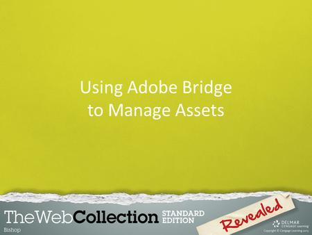 Using Adobe Bridge to Manage Assets. Adobe Bridge is packaged with the Adobe Creative Suite. Adobe Bridge is a media content manager integrated with many.