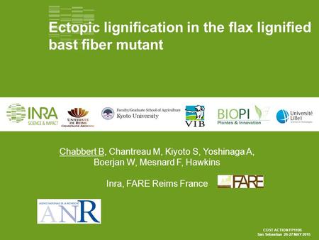 Ectopic lignification in the flax lignified bast fiber mutant