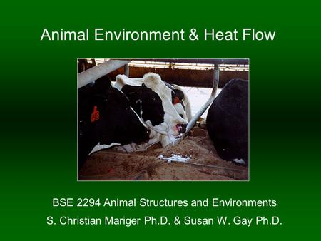 Animal Environment & Heat Flow BSE 2294 Animal Structures and Environments S. Christian Mariger Ph.D. & Susan W. Gay Ph.D.