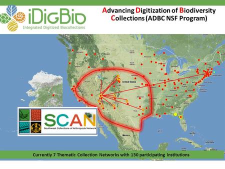 Currently 7 Thematic Collection Networks with 130 participating institutions A dvancing D igitization of B iodiversity C ollections (ADBC NSF Program)