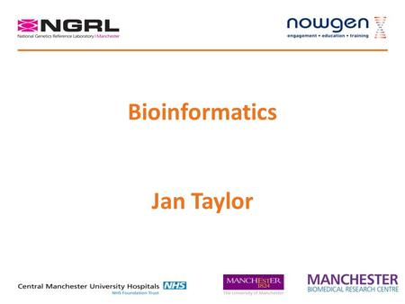 Bioinformatics Jan Taylor. A bit about me Biochemistry and Molecular Biology Computer Science, Computational Biology Multivariate statistics Machine learning.
