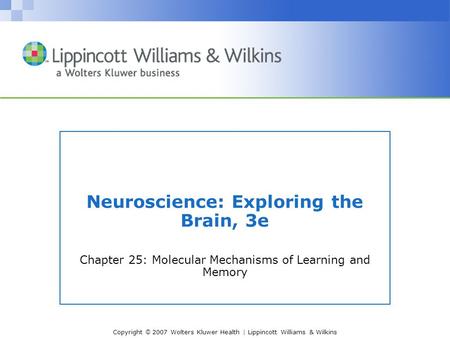 Copyright © 2007 Wolters Kluwer Health | Lippincott Williams & Wilkins Neuroscience: Exploring the Brain, 3e Chapter 25: Molecular Mechanisms of Learning.