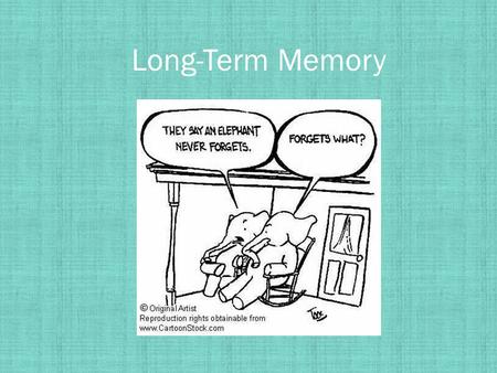 Long-Term Memory.