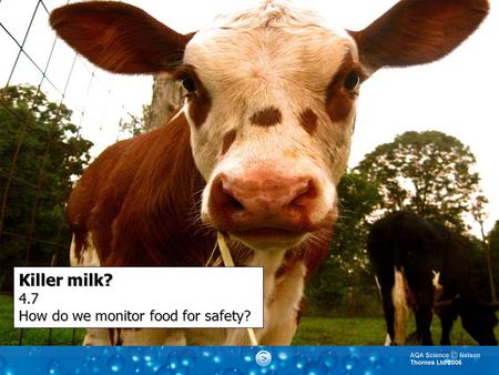 Killer milk? 4.7 How do we monitor food for safety?