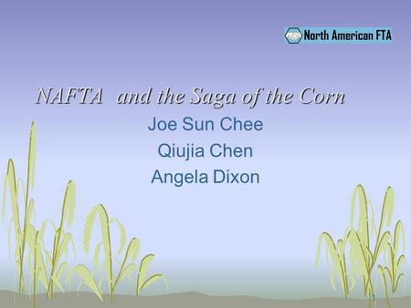 1 NAFTA and the Saga of the Corn Joe Sun Chee Qiujia Chen Angela Dixon.